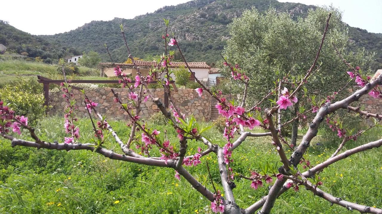 La Casetta Rosa Tertenìa Kültér fotó