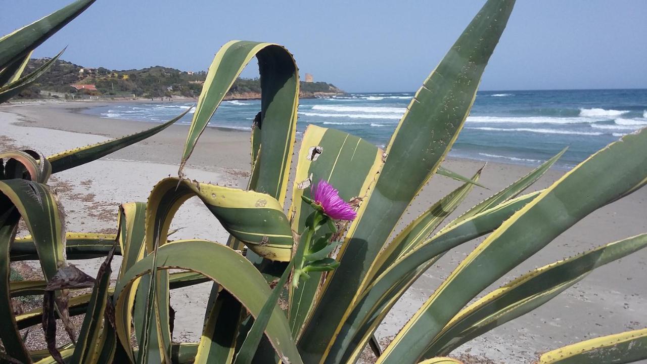 La Casetta Rosa Tertenìa Kültér fotó